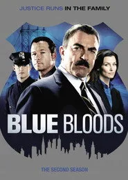 Blue Bloods 2. sezon