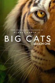 Big Cats 1. sezon