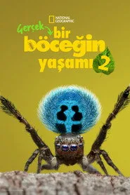 Gerçek Bir Böceğin Yaşamı 2. sezon