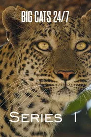 Big Cats 24/7 1. sezon