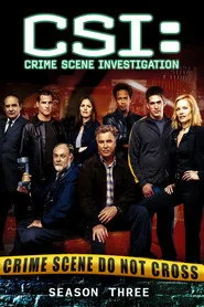 CSI: Crime Scene Investigation 3. sezon