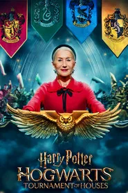 Harry Potter: Hogwarts Tournament of Houses posteri