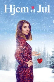 Home for Christmas 2. sezon
