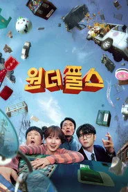 The WONDERfools posteri