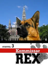 Kommissar Rex 3. sezon