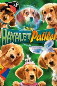 Hayalet Patiler posteri