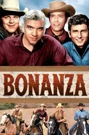 Bonanza posteri
