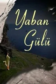 Yaban Gülü posteri