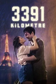 3391 Kilometre posteri