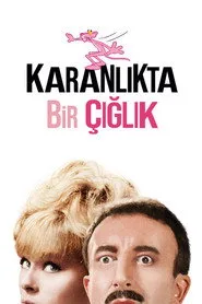 Karanlıkta Bir Çığlık posteri