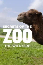 Secrets of the Zoo: The Wild Side posteri