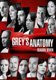 Grey's Anatomy 7. sezon