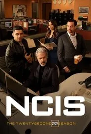 NCIS 22. sezon
