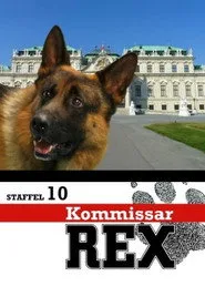 Kommissar Rex 10. sezon