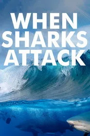 When Sharks Attack 2. sezon