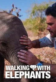 Walking with Elephants 1. sezon