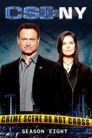 CSI: NY 8. sezon