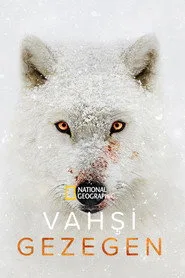 Vahşi Gezegen posteri