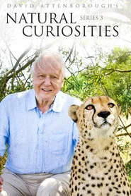David Attenborough ile Sıradışı Canlılar 3. sezon