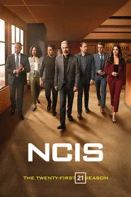 NCIS 21. sezon