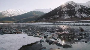 7. Bölüm
