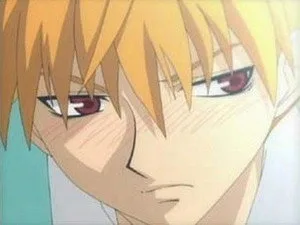 Fruits Basket 1. sezon 19. bölüm görseli