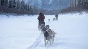 1. Bölüm