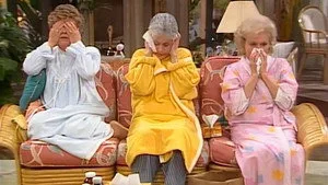 The Golden Girls 1. sezon 21. bölüm görseli