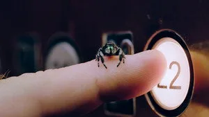 Gerçek Bir Böceğin Yaşamı 2. sezon 5. bölüm görseli