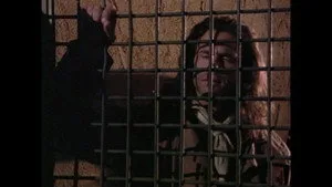 Renegade 4. sezon 16. bölüm görseli