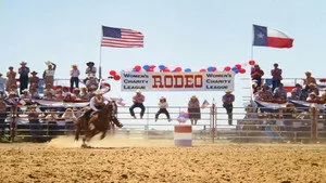 Dallas 9. sezon 9. bölüm görseli