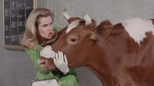 Bewitched 3. sezon 20. bölüm görseli