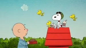 Köpeğime Dokunma