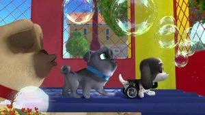 Bingo ve Rolly'nin Maceraları 3. sezon 3. bölüm görseli