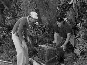 Gilligan's Island 1. sezon 16. bölüm görseli