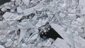 1. Bölüm