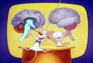 Pinky and the Brain 1. sezon 5. bölüm görseli