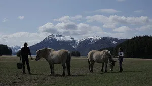 3. Bölüm