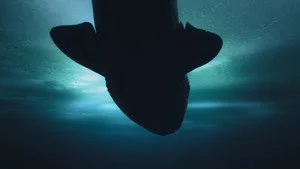 OceanXplorers 1. sezon 6. bölüm görseli