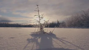 Alone 13. sezon 11. bölüm görseli
