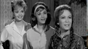 Petticoat Junction 1. sezon 25. bölüm görseli