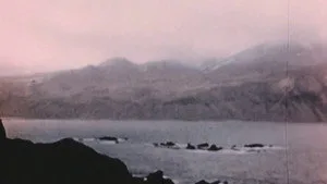 9. Bölüm