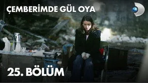 Arkadaşlar, Ayrılıklar
