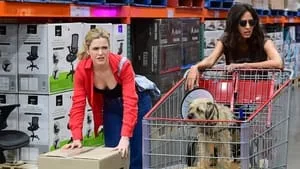2. Bölüm