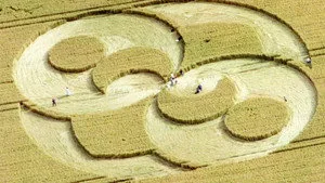 8. Bölüm