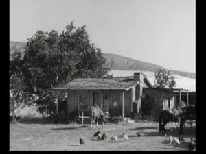 7. Bölüm