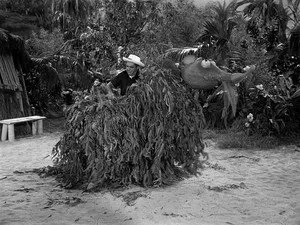 Gilligan's Island 1. sezon 20. bölüm görseli