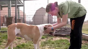 Rocky Mountain Animal Rescue 1. sezon 5. bölüm görseli