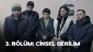 Cinsel Gerilim