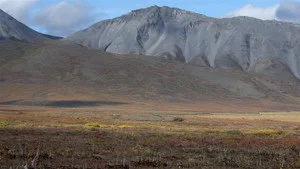 7. Bölüm